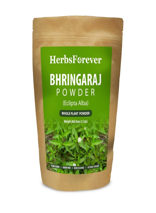 Herbsforever مسحوق نبات البرينجاراج (إكليبتا ألبا) من هيربس فور إيفر - مسحوق النبات الكامل لدعم صحة الشعر وفروة الرأس والكبد - مُقطف بريًا - غير معدل وراثيًا - فعالية مضاعفة | فائق النقاء | خالٍ من الرمل والطين | مُعقّم بالبخار | 16 أونصة - 1 رطل - منتج أيورفيدي فاخر - Image 1